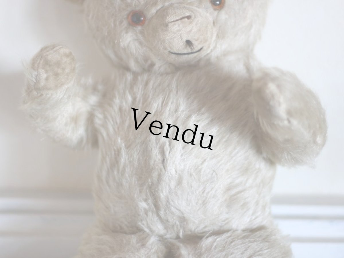 画像5: Antique Knickerbocker Teddy Kuddles /B (5)