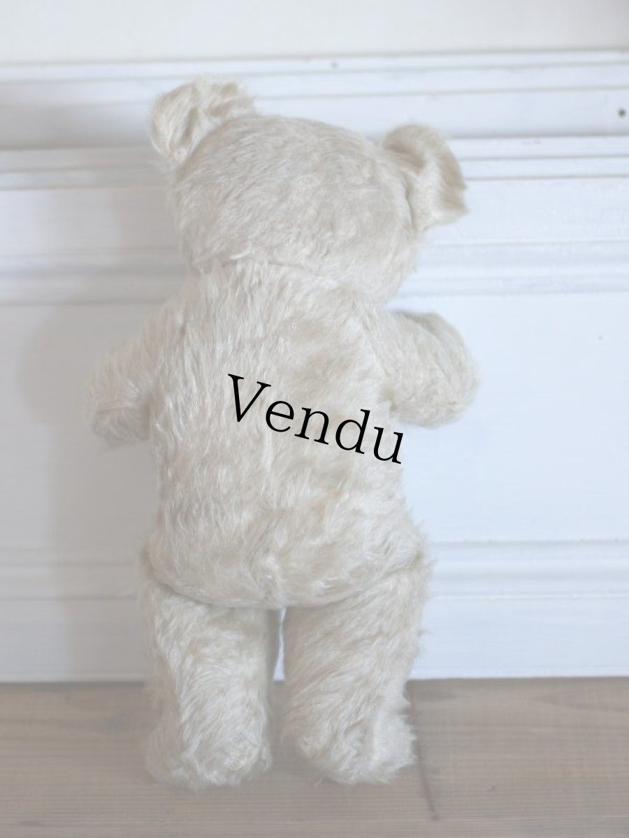 画像9: Antique Knickerbocker Teddy Kuddles /B (9)