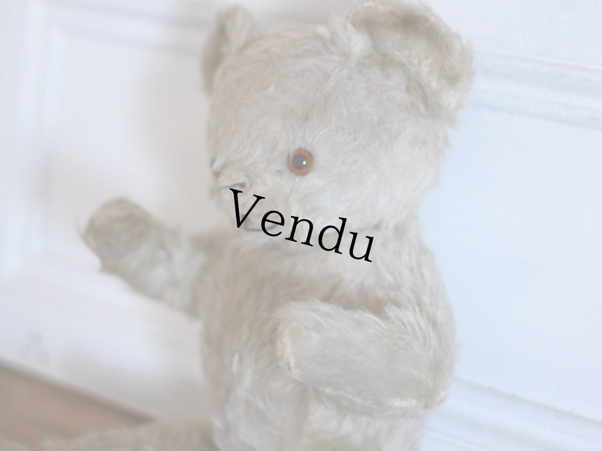画像7: Antique Knickerbocker Teddy Kuddles /B (7)