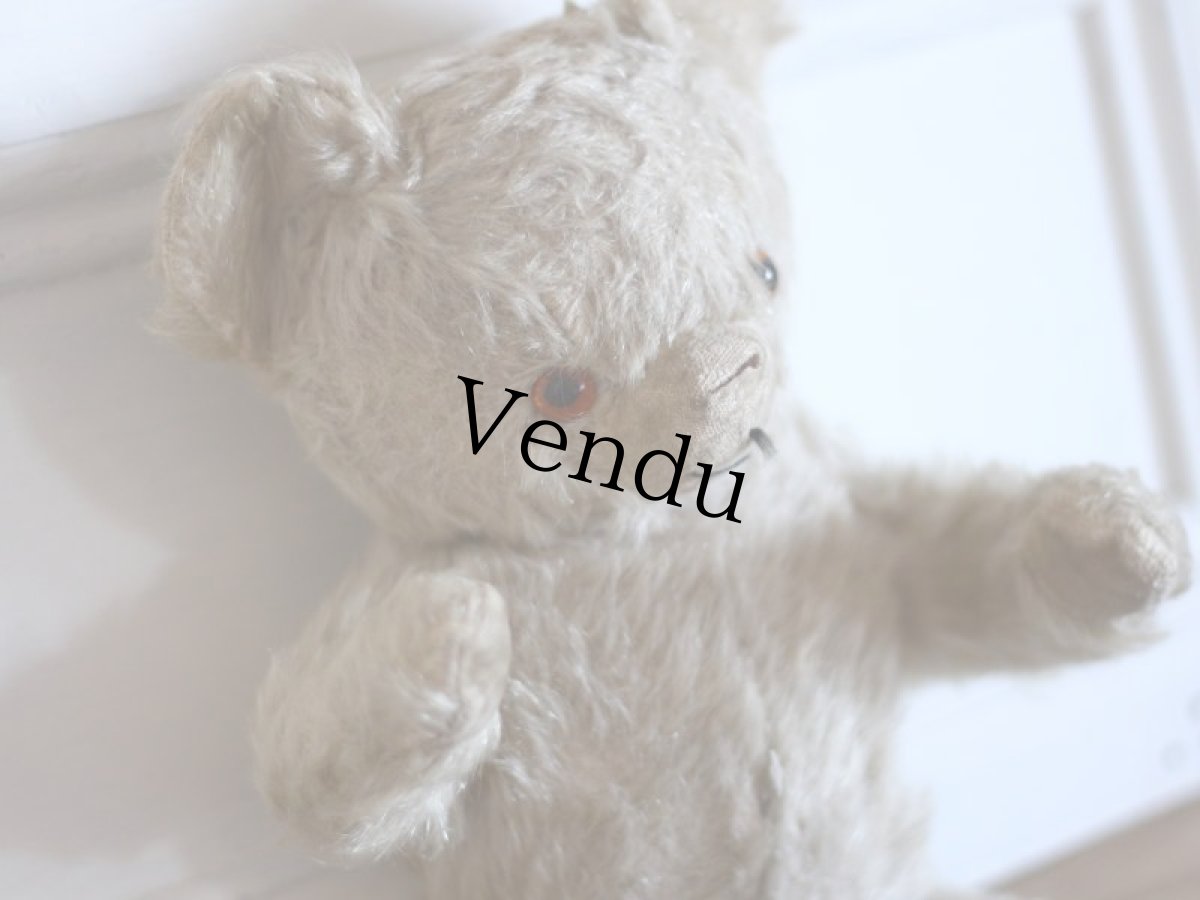 画像8: Antique Knickerbocker Teddy Kuddles /B (8)