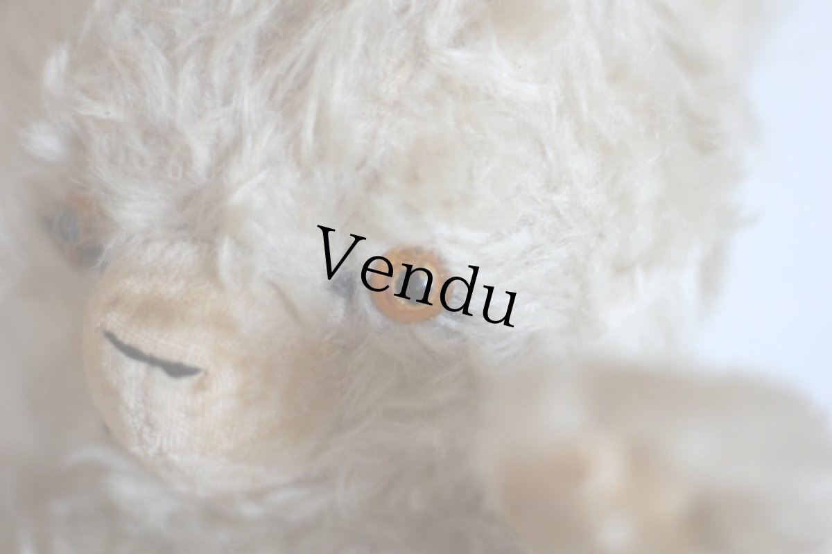 画像4: Antique Knickerbocker Teddy Kuddles /A (4)