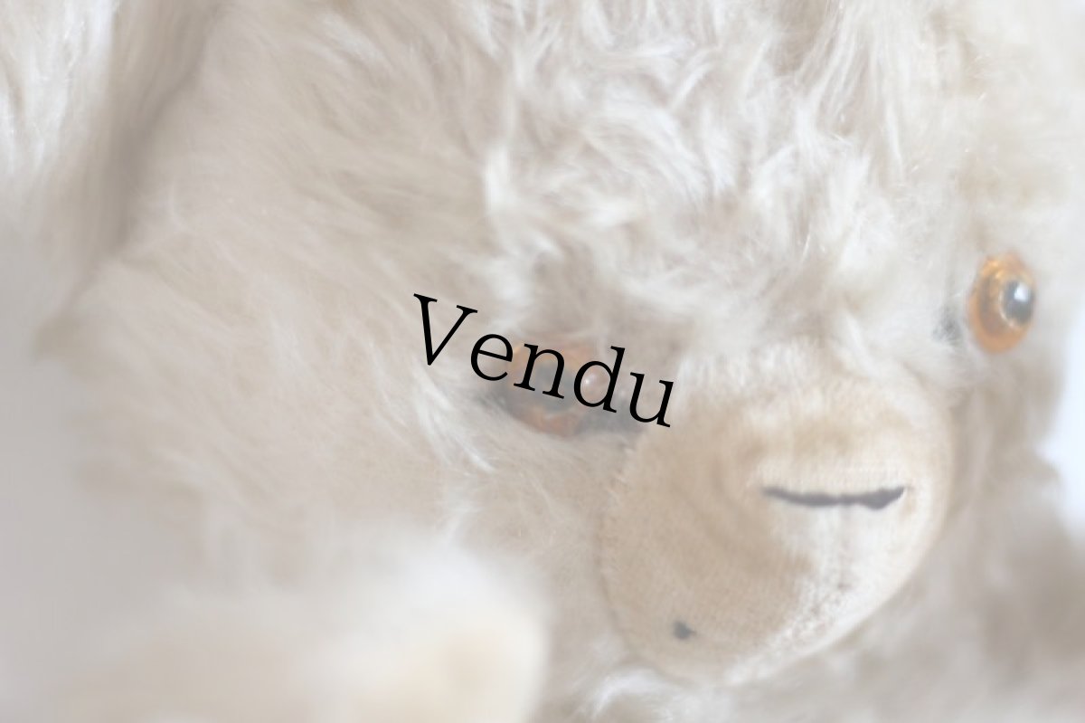 画像3: Antique Knickerbocker Teddy Kuddles /A (3)