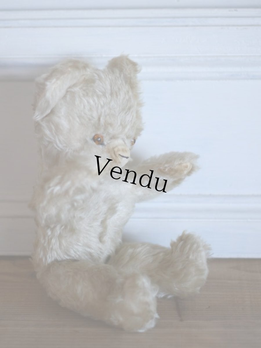 画像8: Antique Knickerbocker Teddy Kuddles /A (8)