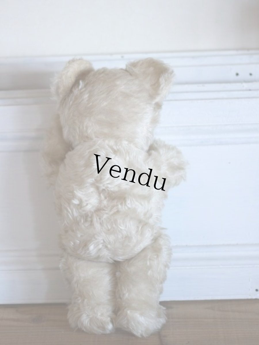 画像7: Antique Knickerbocker Teddy Kuddles /A (7)