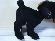 画像6: RARE!!Antique Knickerbocker Black Lamb (6)