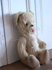 画像3: RARE!! J.P.M. 社 Bear/France/15.5in (3)