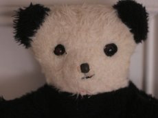 画像4: RARE!! Wendy Boston Panda/British (4)