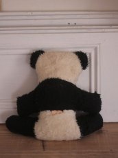 画像8: RARE!! Wendy Boston Panda/British (8)