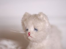 画像4: Antique White Cat/France (4)