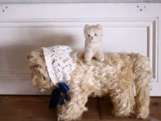 画像1: Antique White Cat/France (1)