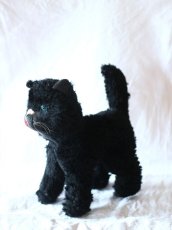 画像4: Antique french black cat/フランス蚤の市 (4)