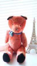 画像1: RARE!!Pink Le Jouet Paris Massy/J.P.M. Bear/size BIG LLL 50cm/France (1)