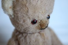 画像8: RARE!!Antique French Bear / France (8)