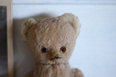 画像2: RARE!!Antique French Bear / France (2)