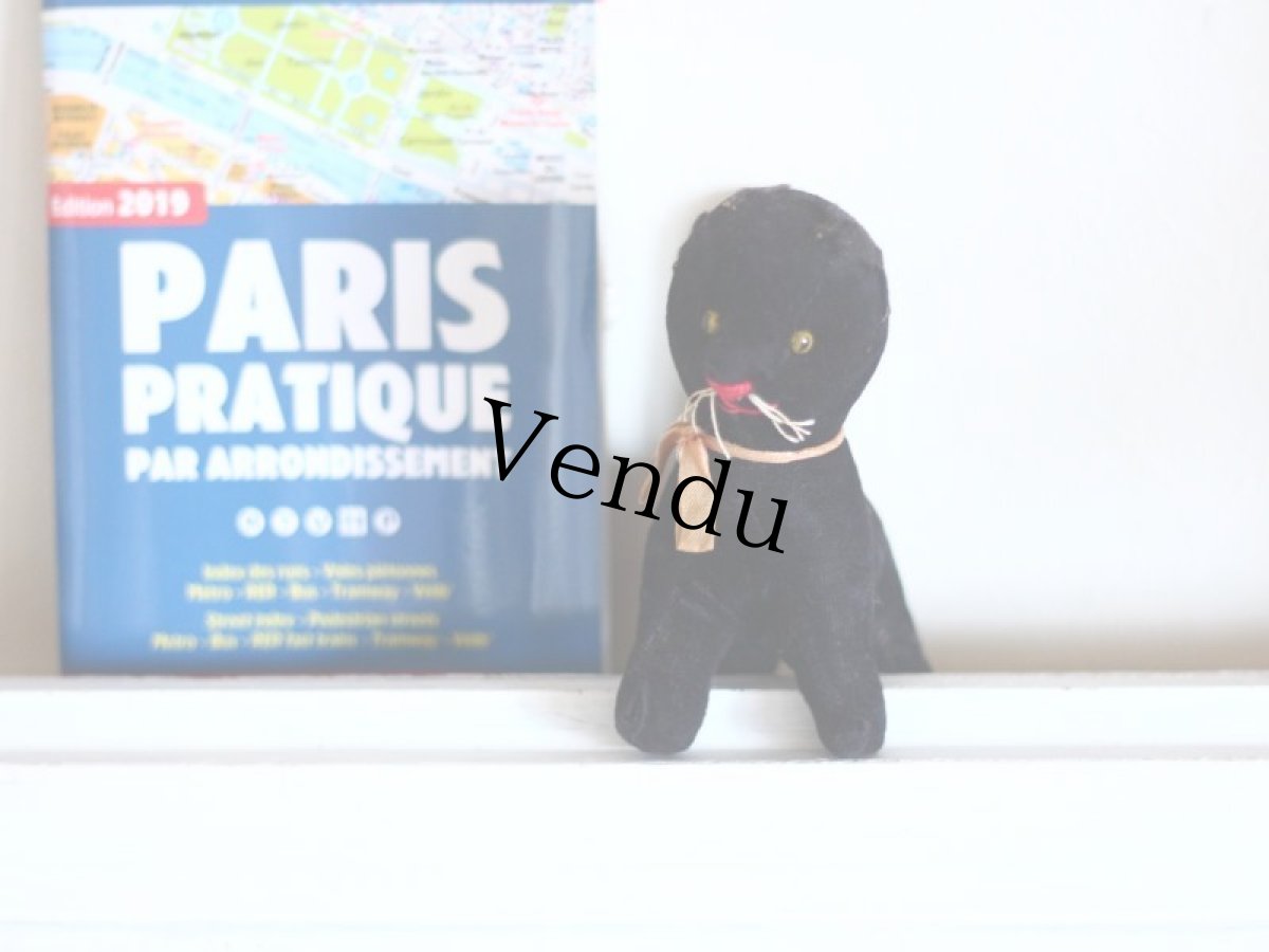 画像1: Rare Cute!! French Black Cat //France (1)