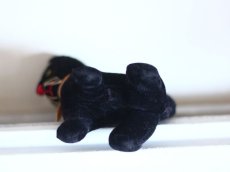 画像8: Rare Cute!! French Black Cat //France (8)