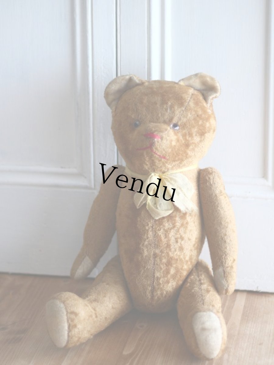 画像1: Le Jouet Paris Massy/J.P.M. Bear/size 45cm/France (1)