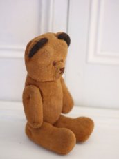 画像6: French Bear /France (6)