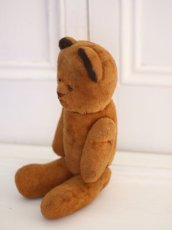 画像5: French Bear /France (5)