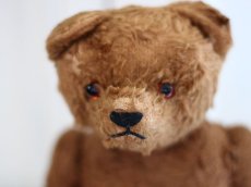 画像13: Petz Teddy Bear//Germany (13)