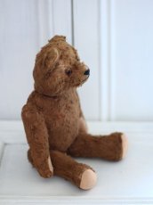 画像6: Petz Teddy Bear//Germany (6)