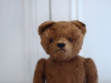 画像3: Petz Teddy Bear//Germany (3)