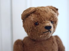 画像11: Petz Teddy Bear//Germany (11)