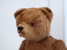 画像12: Petz Teddy Bear//Germany (12)