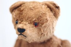 画像10: Petz Teddy Bear//Germany (10)