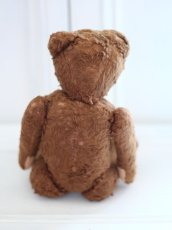 画像8: Petz Teddy Bear//Germany (8)