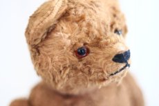 画像9: Petz Teddy Bear//Germany (9)