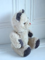 画像7: White Beige Bear / J.P.M.社 / France (7)