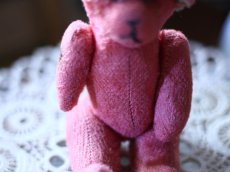 画像3: Pink Bear / France (3)