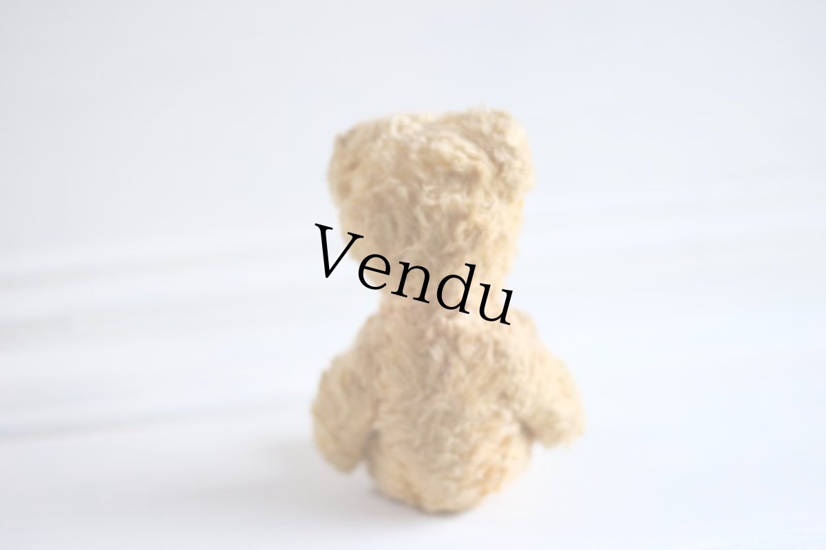 画像6: British Bear (6)