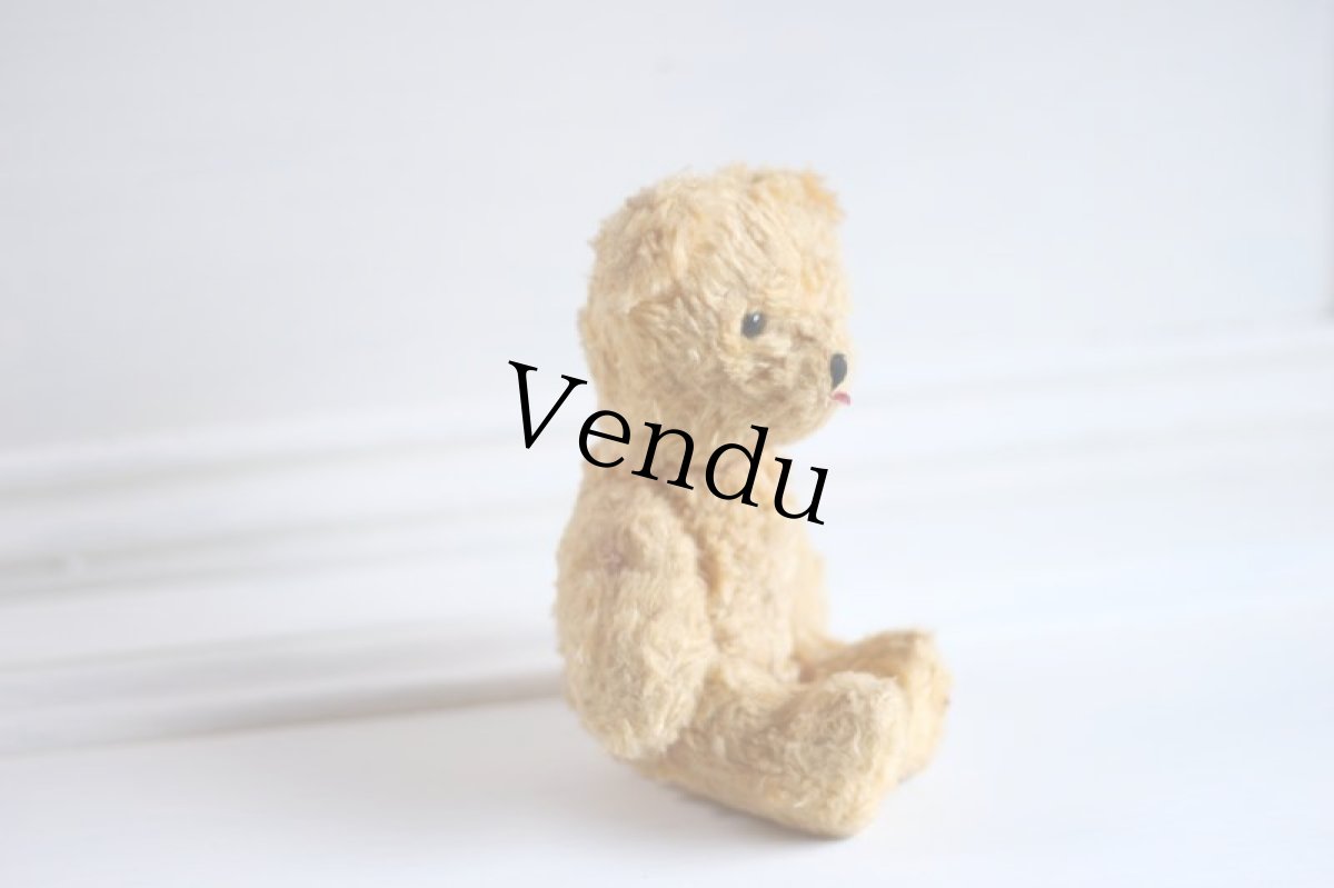 画像4: British Bear (4)