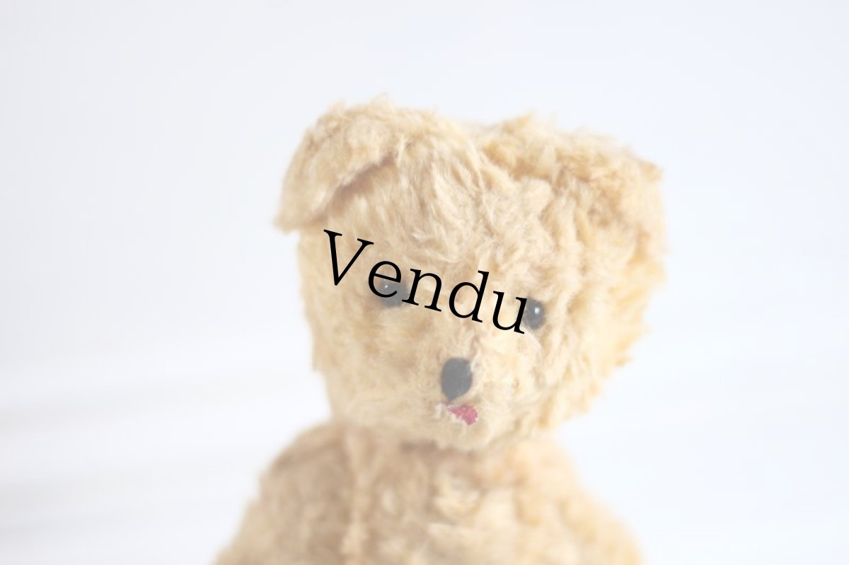 画像2: British Bear (2)