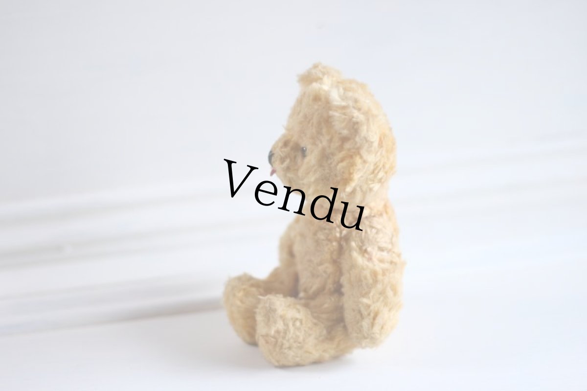 画像5: British Bear (5)