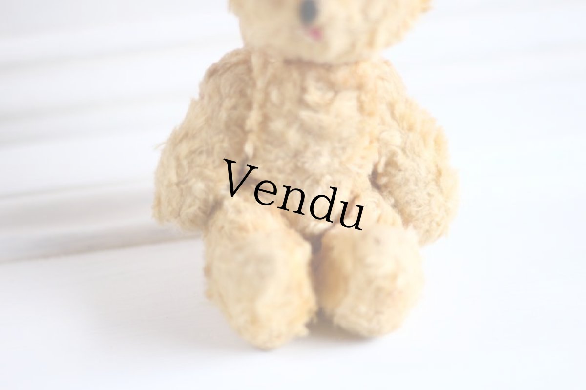 画像3: British Bear (3)