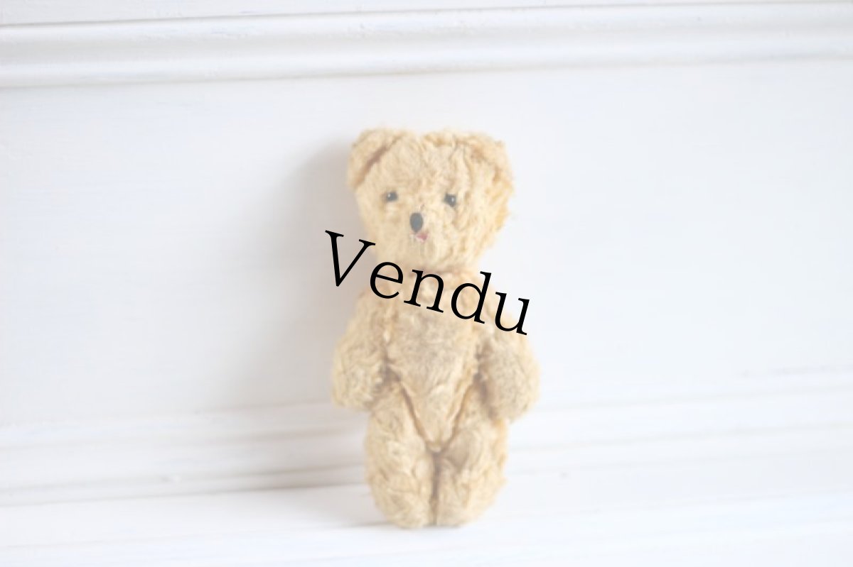 画像7: British Bear (7)