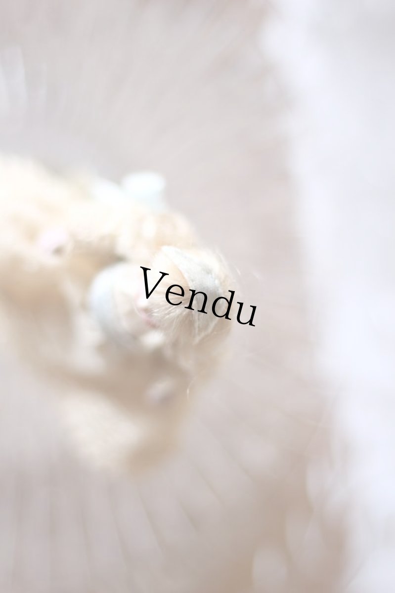 画像6: mini mini mignonette /3in /Germany (6)