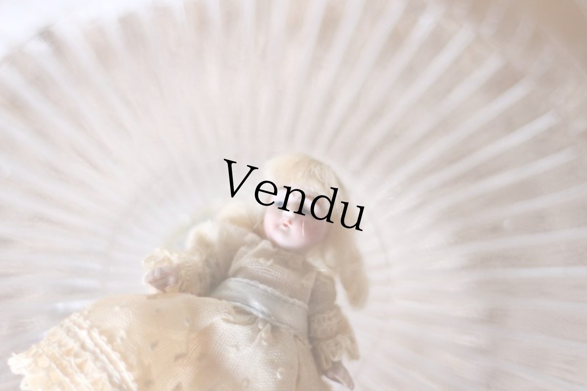 画像7: mini mini mignonette /3in /Germany (7)