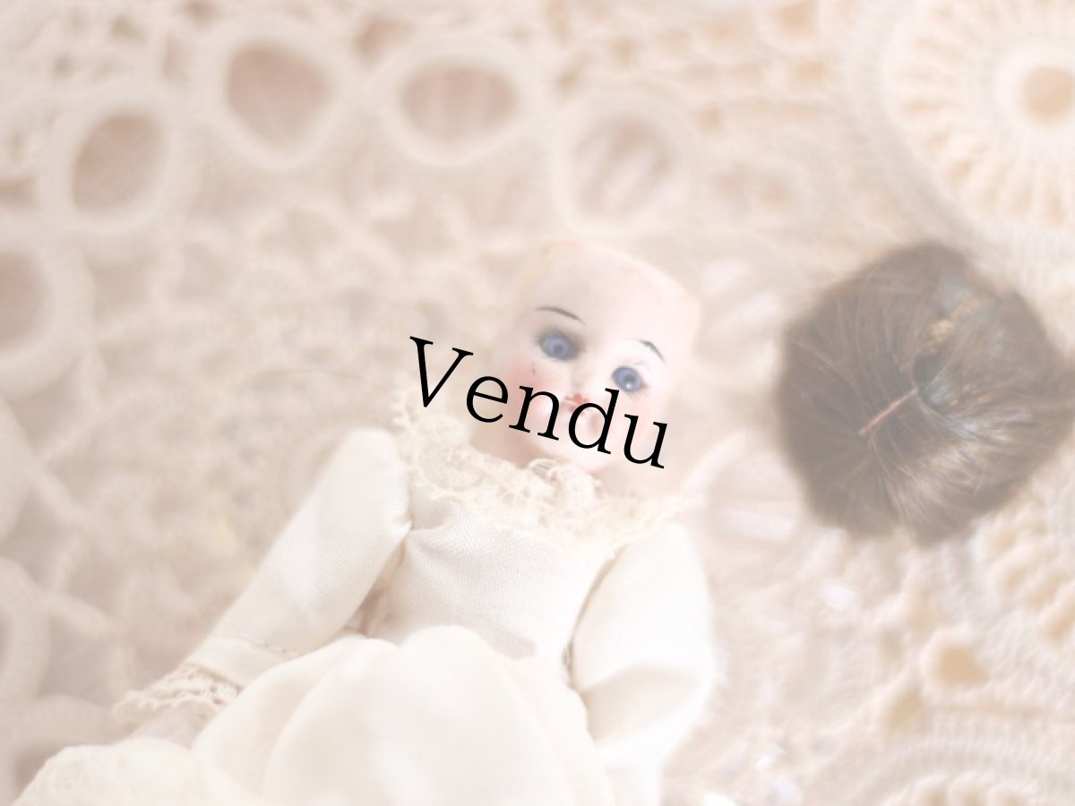 画像9: mignonette /4in /Germany (9)