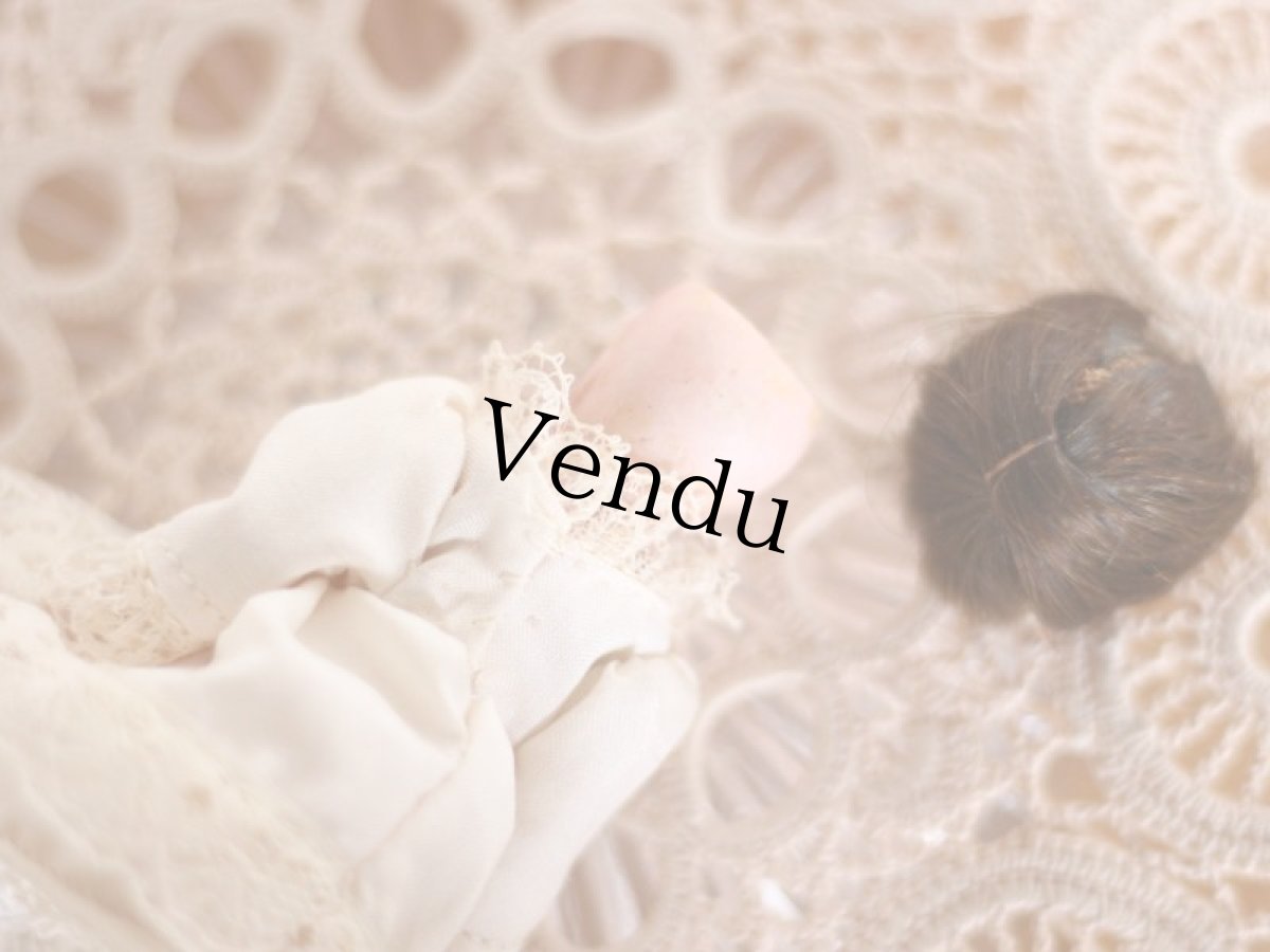 画像10: mignonette /4in /Germany (10)