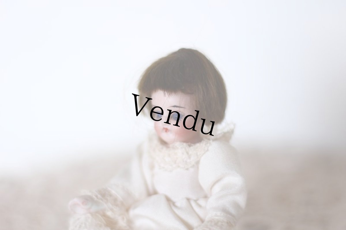 画像2: mignonette /4in /Germany (2)