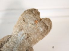 画像10: Le Jouet Paris Massy/J.P.M. Bear/France (10)