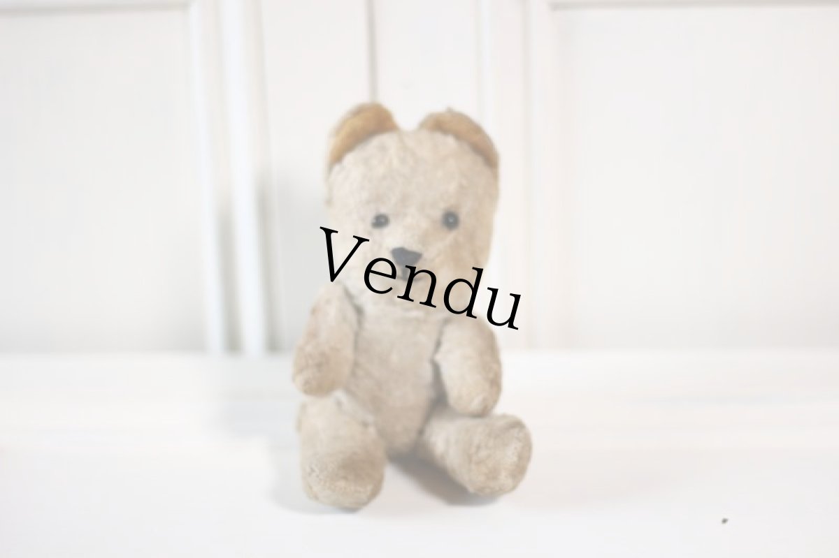 画像1: Le Jouet Paris Massy/J.P.M. Bear/France (1)