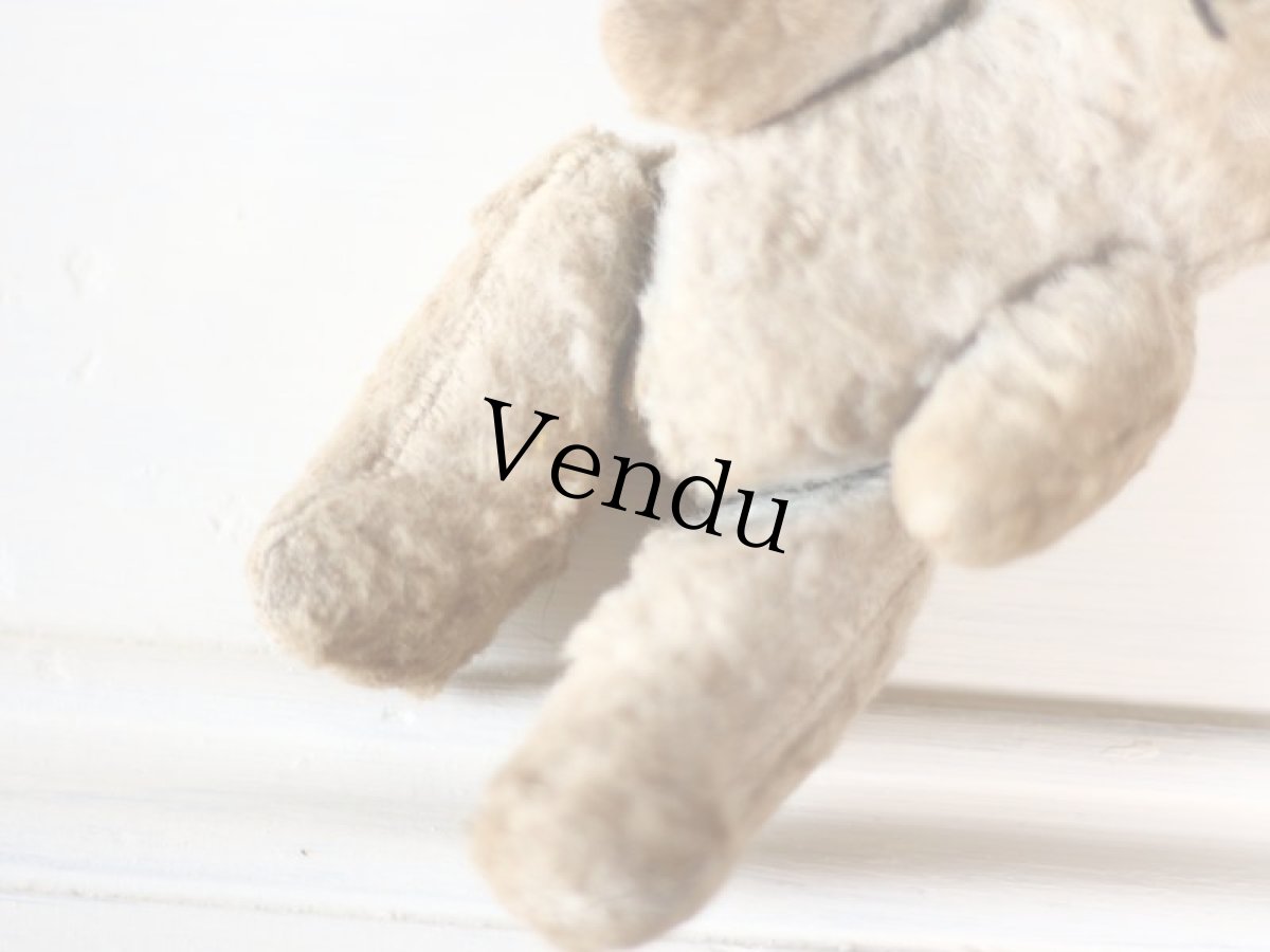 画像8: Le Jouet Paris Massy/J.P.M. Bear/France (8)