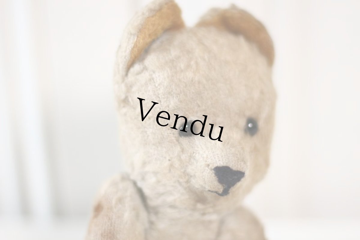 画像4: Le Jouet Paris Massy/J.P.M. Bear/France (4)