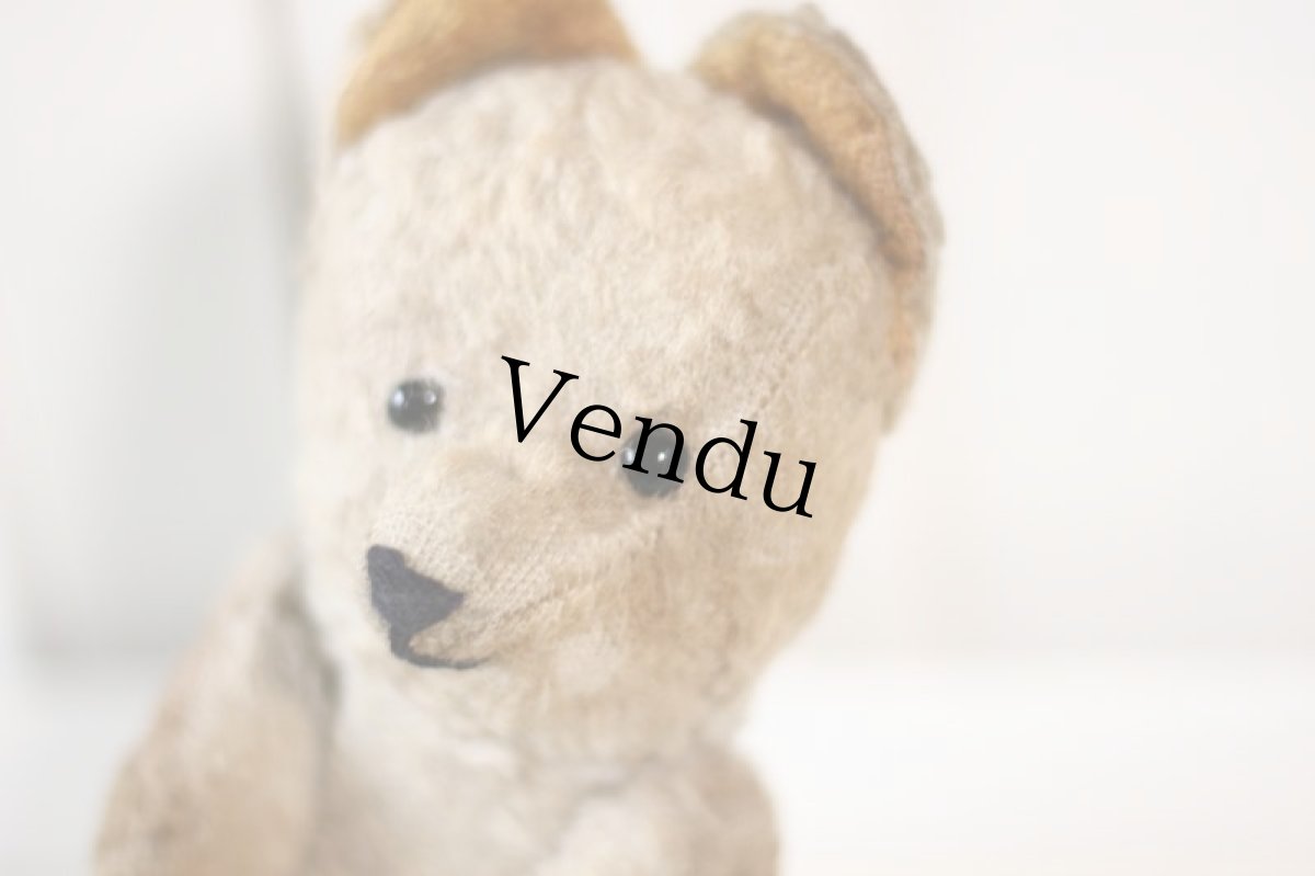 画像3: Le Jouet Paris Massy/J.P.M. Bear/France (3)