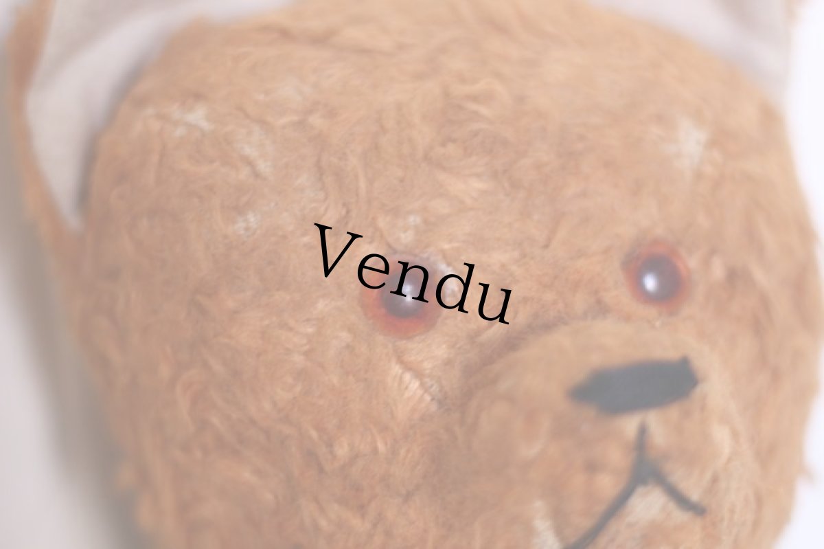 画像5: Le Jouet Paris Massy/J.P.M. Bear//14.5in//France (5)